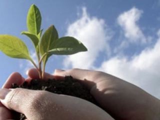 Луганские школьники заняли е место на фестивале юных натуралистов