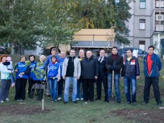 При содействии Владимира Медяника в Ленинском районе высадили более  деревьев