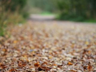 Погода в Луганске: +14°С