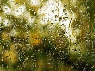 Погода в Луганске на завтра  октября дождь