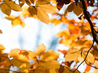 Погода в Луганске на завтра  октября С