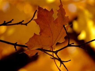 Погода в Луганске на завтра  октября С