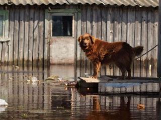 Луганск получил  млн грн на борьбу с подтоплением в Камброде