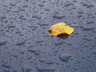 Погода в Луганске на завтра  октября дождь