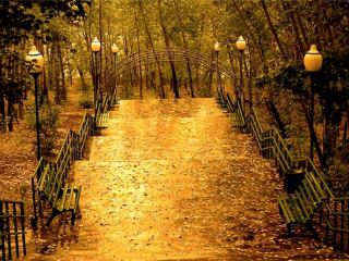 Погода в Луганске ожидается дождь