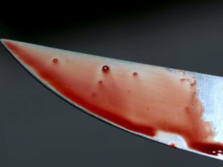 Новые подробности резни в Сватово Убийца набросился на жертву с сантиметровым ножом фото