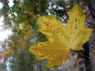Погода в Луганске на завтра  октября температура поднимется до С