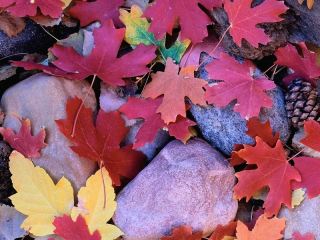 Погода в Луганске ветрено