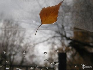 В Луганске объявлено штормовое предупреждение