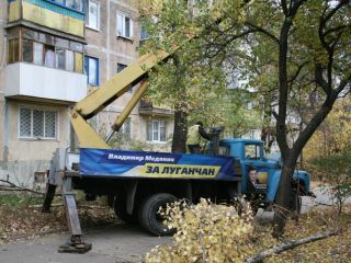 В Луганске продолжается программа Владимира Медяника по обрезке сухостоя