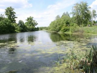 В Луганской области на ремонт пруда выделили  тыс грн