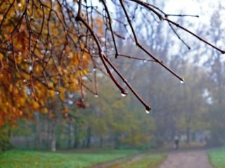 Завтра в Луганске будет самая теплая погода за  лет