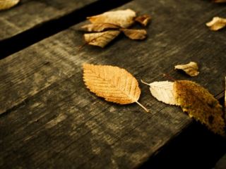 В Луганске зафиксирована самая теплая погода за последние  лет