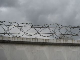 Около  тысяч осужденных проголосовали на Луганщине