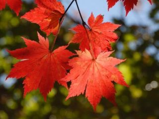 Завтра в Луганске резко похолодает