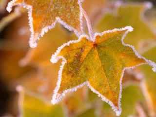 Погода в Луганске на завтра  ноября заморозки