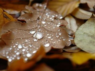 Погода в Луганске на завтра ветрено дождь