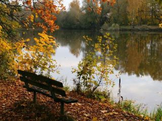 Погода в Луганске пасмурно будет дождь