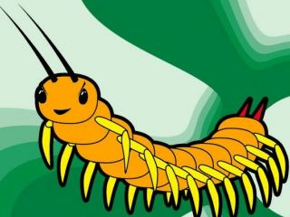 Луганчанам расскажут все о тенденциях вымирания и нашествии сороконожек