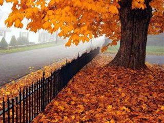 Погода в Луганске на завтра С