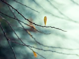 Погода в Луганске на завтра холодает