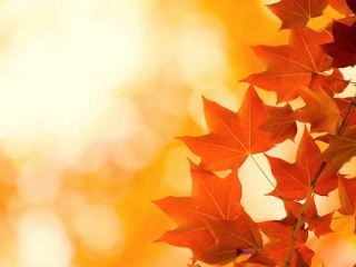 Погода в Луганске солнечно