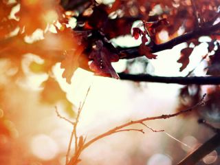 Погода в Луганске на завтра без осадков