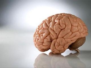 В Луганске раскрыли потенциал мозга студентов фото