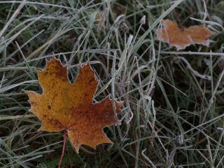 Погода в Луганске С