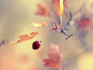 Погода в Луганске на  ноября небольшой дождь