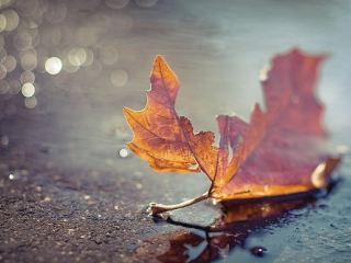 Погода в Луганске на 15 ноября: холодает