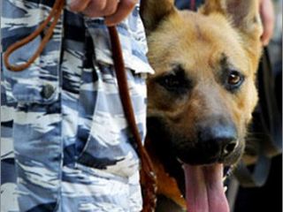 Больше суток искали пропавшего летнего мальчика из Луганской области