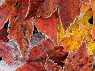 Погода в Луганске на выходные  и  ноября без осадков