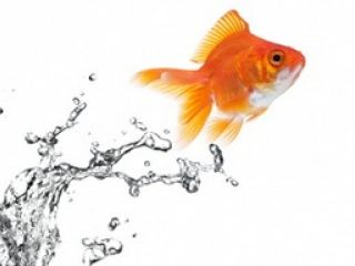 В этот день нужно следить за своими желаниями они сегодня исполняются