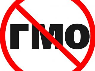 В Луганской области нашли печенье с ГМО