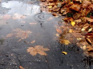 Погода в Луганске на  ноября потепление