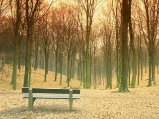 Погода в Луганске на  ноября тепло сохранится