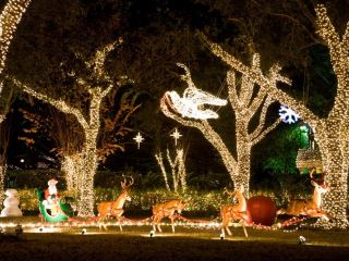 Главный архитектор Луганска преобразит город с помощью декоративных фонариков