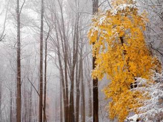 Синоптики рассказали когда в Украине изменится погода