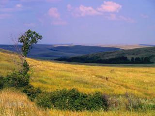 В Луганской области стало на  заказника больше