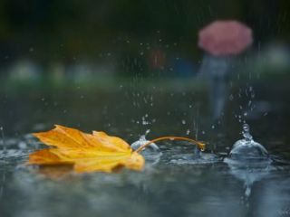 Погода в Луганске на  ноября дождь