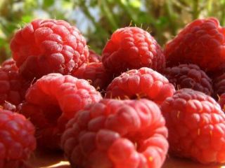 Луганчанам предлагают начать зиму с малины