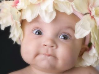 Вчера в Луганске родилось  малышей