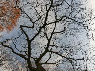 Завтра в Луганске будет аномально теплая погода