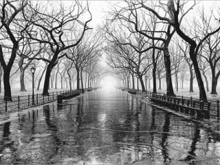 В первой половине декабря Украину захватит циклон