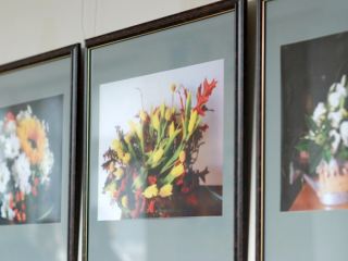 В Луганске представили выставку экзотических растений фото