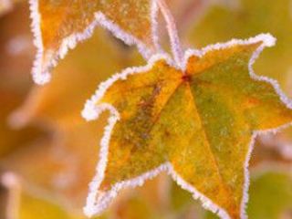 Погода в Луганске на  декабря С