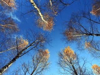 Погода в Луганске на  декабря без осадков