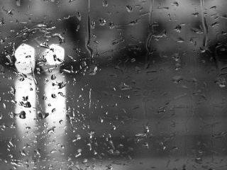 Погода в Луганске на  декабря дождь