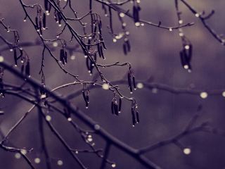 Погода в Луганске ветрено